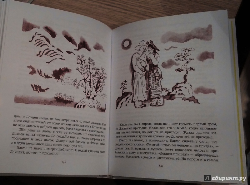 Иллюстрация 27 из 33 для Каменный Лев. Тибетские народные сказки | Лабиринт - книги. Источник: Вилена