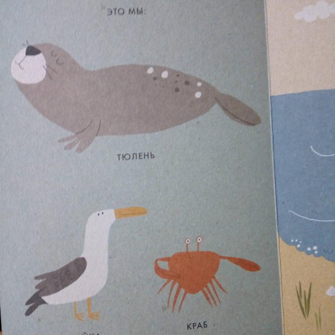 Иллюстрация 34 из 45 для Моё маленькое море - Катрин Виле | Лабиринт - книги. Источник: bookchik