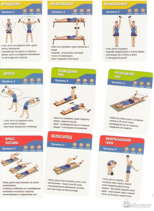 Иллюстрация 2 из 2 для Упражнения с гантелями. 50 приемов для укрепления мышц | Лабиринт - книги. Источник: Киселева  Валентина
