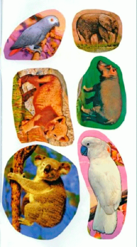 Иллюстрация 14 из 21 для Животные жарких стран. Первые уроки 5+ - Л. Шайтанова | Лабиринт - книги. Источник: Кошки-мышки