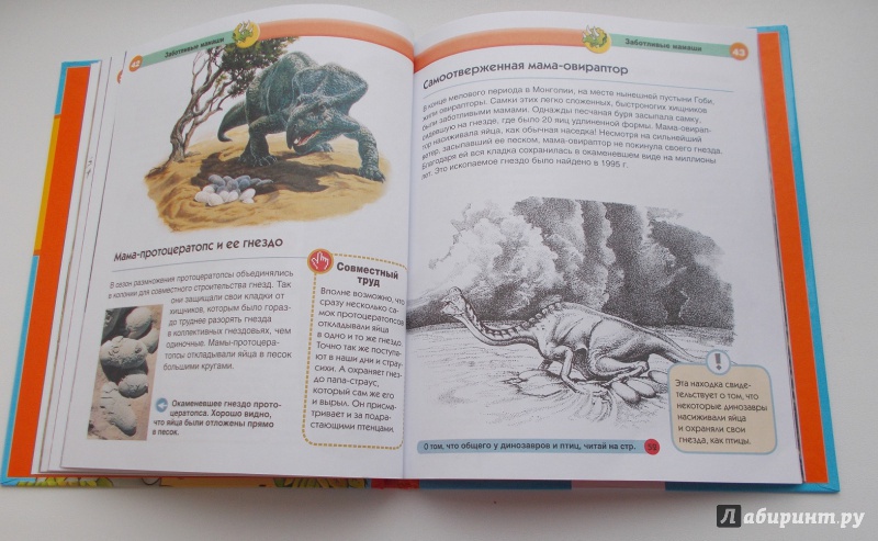 Иллюстрация 46 из 48 для Динозавры - Мария Боцци | Лабиринт - книги. Источник: Железная  Кнопка