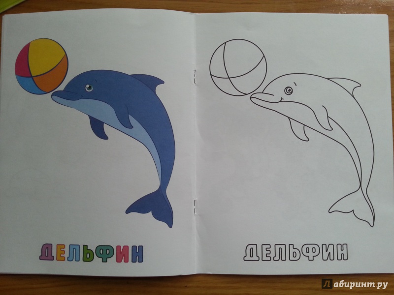 Иллюстрация 3 из 8 для Раскраска для малышей Морские животные | Лабиринт - книги. Источник: Иванова  Наталья