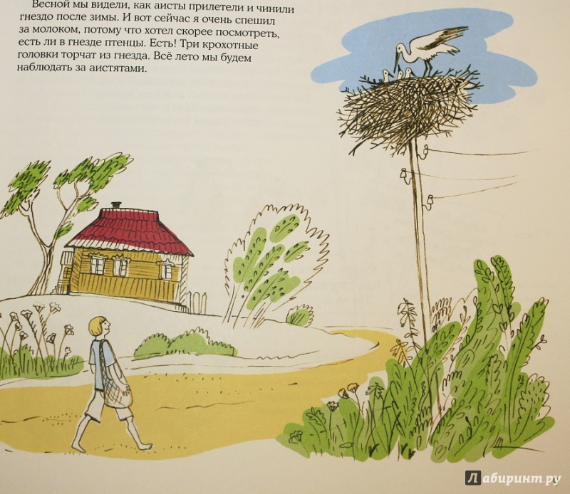 Иллюстрация 69 из 87 для Лето в Деревне - Зина Сурова | Лабиринт - книги. Источник: КНИЖНОЕ ДЕТСТВО