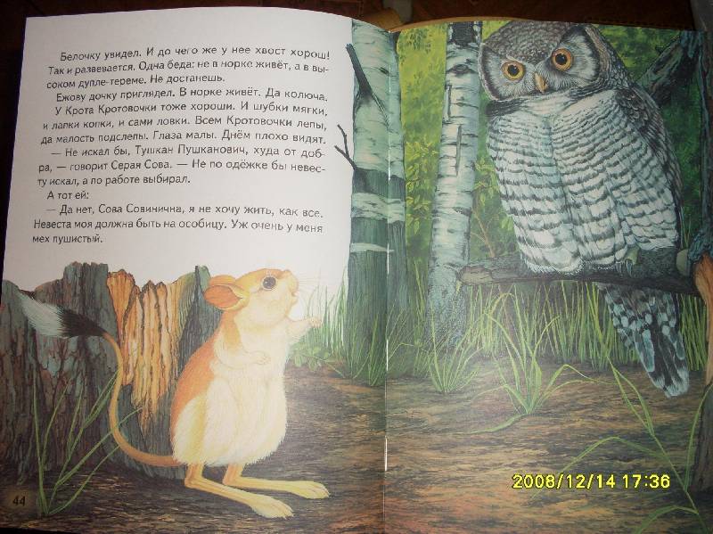 Иллюстрация 14 из 22 для Русские сказки о природе: Чижик-Пыжик - Евгений Пермяк | Лабиринт - книги. Источник: Марта