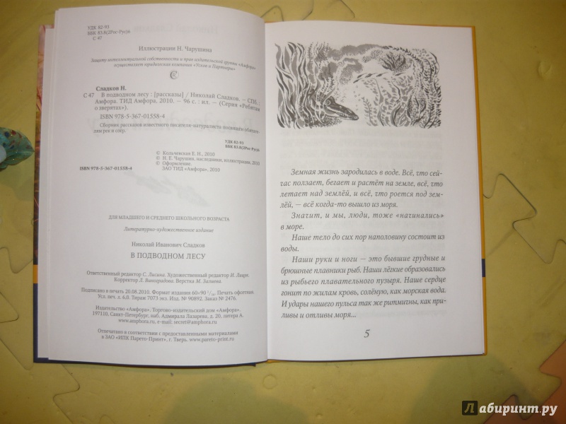 Иллюстрация 9 из 11 для В подводном лесу - Николай Сладков | Лабиринт - книги. Источник: Костина  Наталья Алексеевна