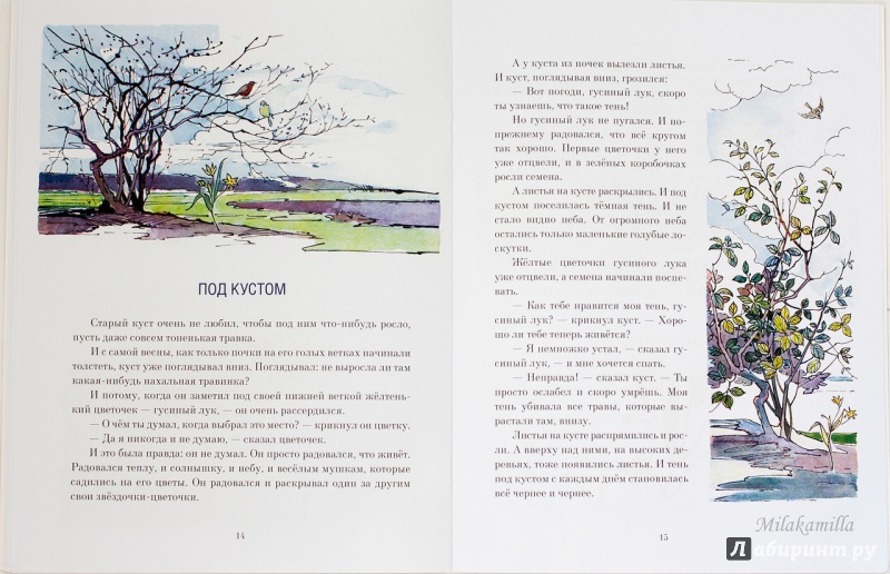 Иллюстрация 59 из 62 для Желтый, белый, лиловый - Нина Павлова | Лабиринт - книги. Источник: Букландия