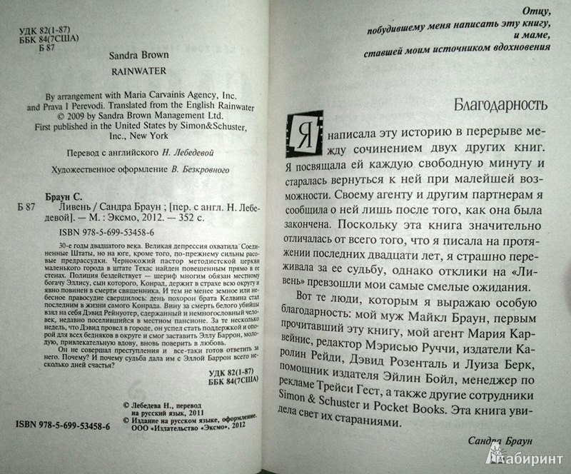 Иллюстрация 4 из 7 для Ливень - Сандра Браун | Лабиринт - книги. Источник: Леонид Сергеев