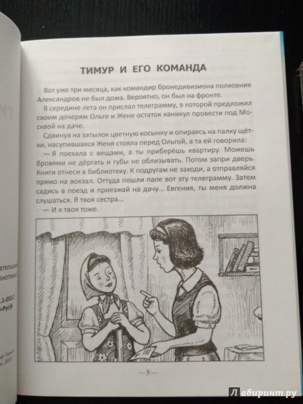 Иллюстрация 9 из 60 для Тимур и его команда - Аркадий Гайдар | Лабиринт - книги. Источник: Тайна