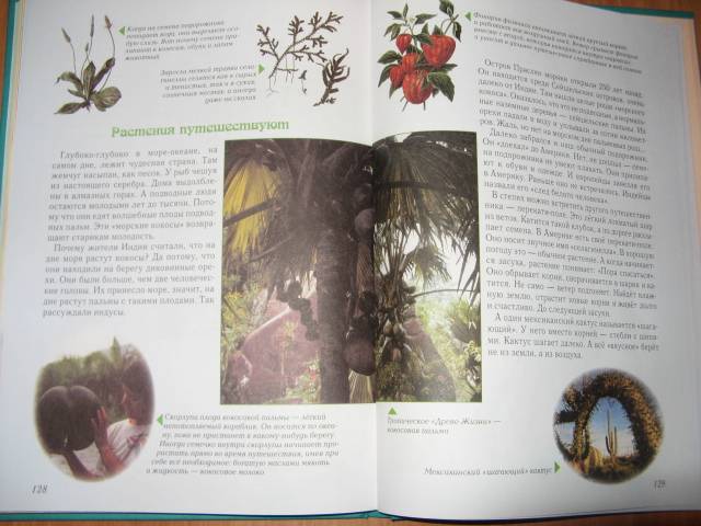 Иллюстрация 4 из 49 для Занимательная ботаника - Светлана Лаврова | Лабиринт - книги. Источник: varta