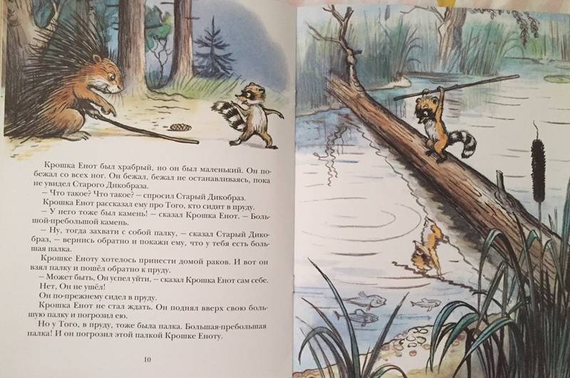 Иллюстрация 94 из 97 для Крошка Енот и тот, кто сидит в пруду - Лилиан Муур | Лабиринт - книги. Источник: Шпортун  Алена Игоревна