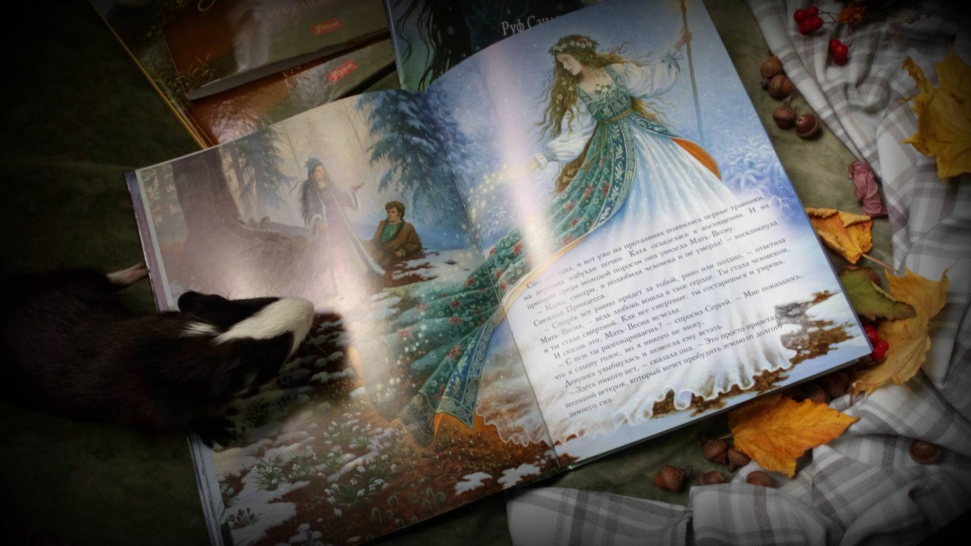 Иллюстрация 74 из 77 для Снежная принцесса - Руф Сандерсон | Лабиринт - книги. Источник: Лютова  Юлия