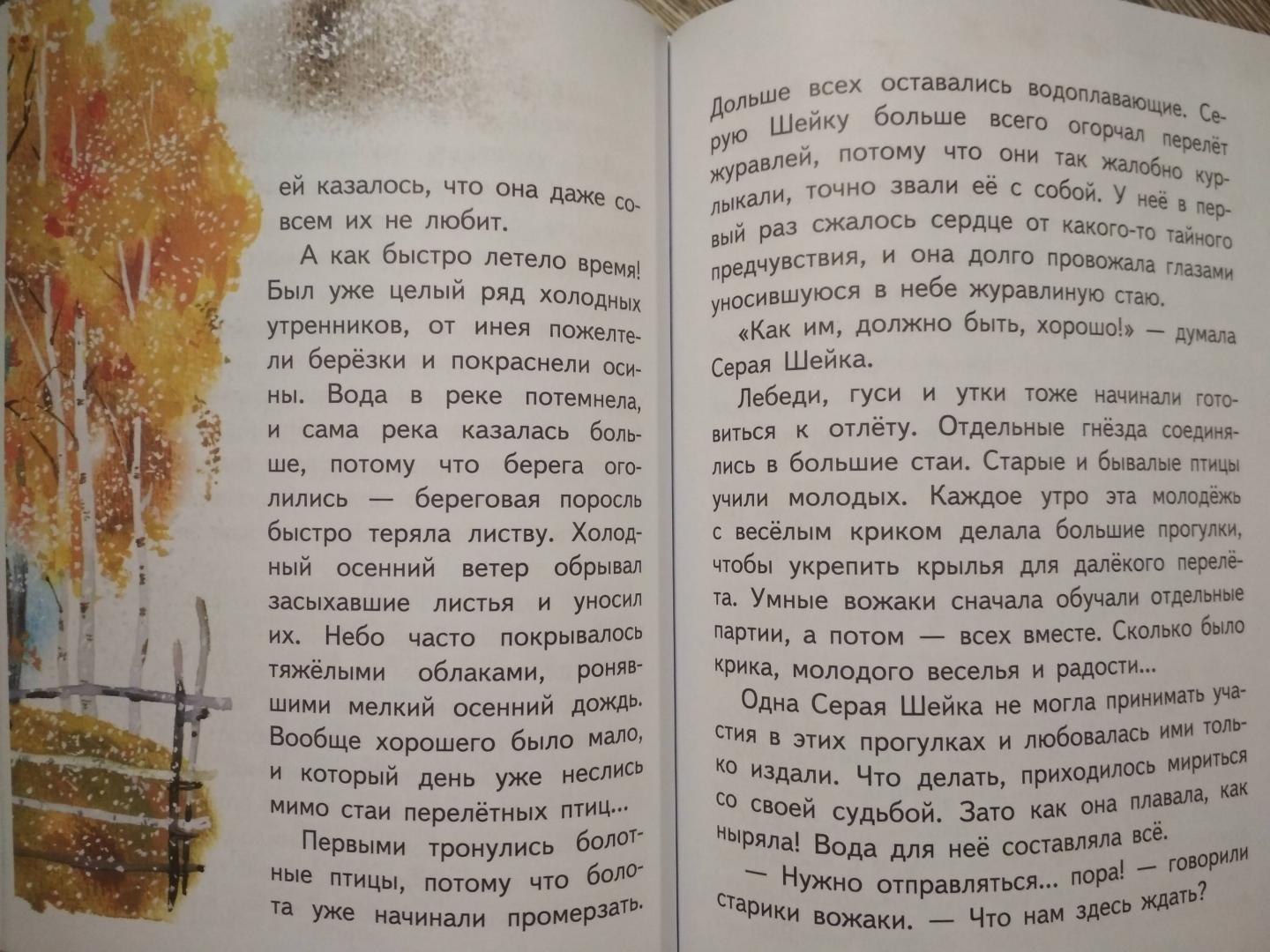 Иллюстрация 45 из 62 для Медведко - Дмитрий Мамин-Сибиряк | Лабиринт - книги. Источник: Чебыкина  Марина