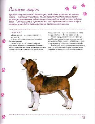 Иллюстрация 17 из 28 для Одежда для собак + выкройки - Макарова, Елизарова | Лабиринт - книги. Источник: Oslik IA
