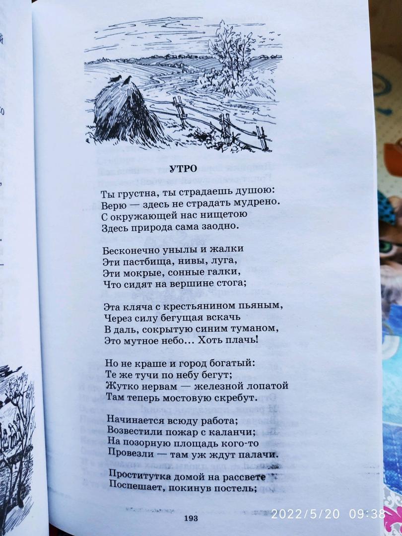 Иллюстрация 30 из 42 для Стихотворения - Николай Некрасов | Лабиринт - книги. Источник: Ekaterina Фиалковая