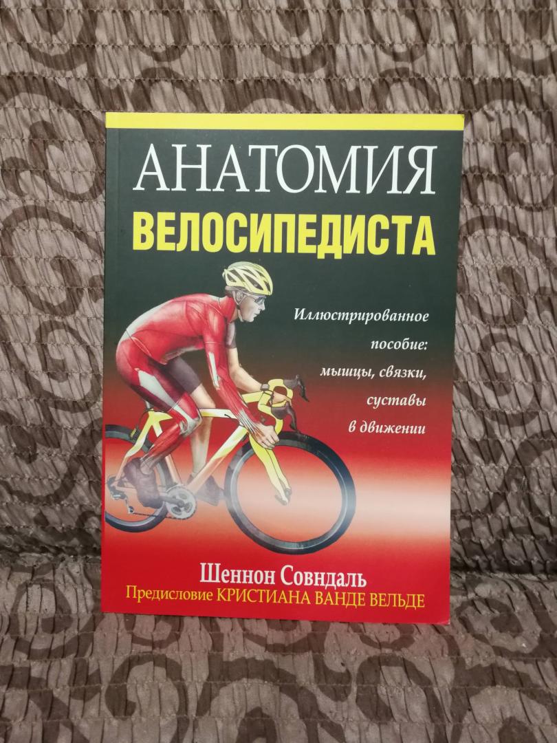 Иллюстрация 17 из 19 для Анатомия велосипедиста - Шеннон Совндаль | Лабиринт - книги. Источник: Лабиринт