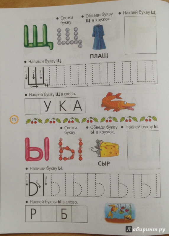 Иллюстрация 16 из 18 для Учим буквы - Олеся Жукова | Лабиринт - книги. Источник: Евгения Махина