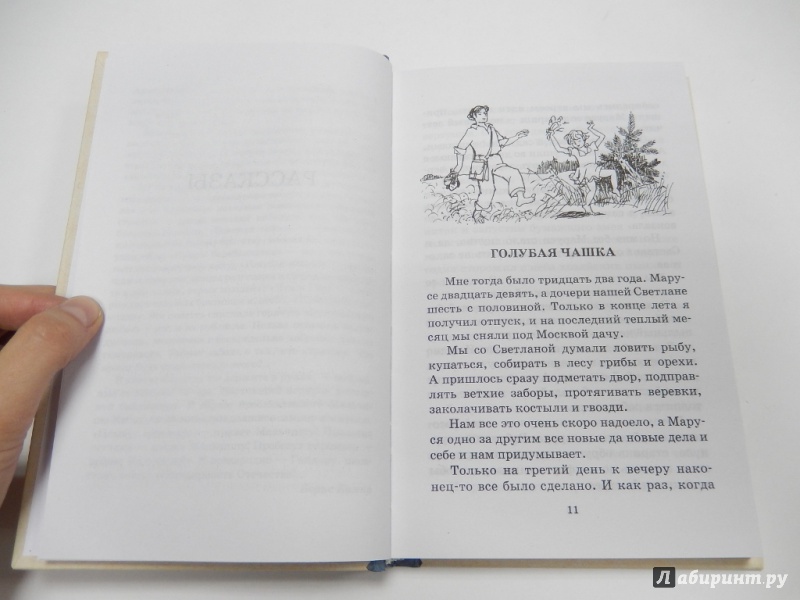 Иллюстрация 17 из 30 для Тимур и его команда - Аркадий Гайдар | Лабиринт - книги. Источник: dbyyb