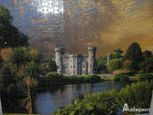 Иллюстрация 1 из 3 для Step Puzzle-1000 79053 Джоунстонский дворец. Ирландия | Лабиринт - игрушки. Источник: Klementinka
