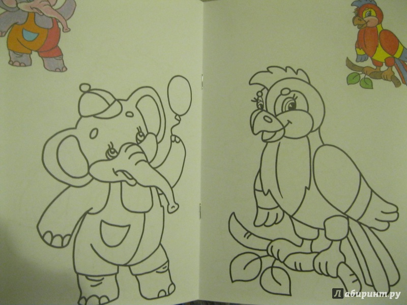 Иллюстрация 6 из 12 для Раскраска малышам. Попугай. 2-4 года | Лабиринт - книги. Источник: MaMasha