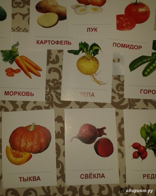 Иллюстрация 8 из 19 для Раздаточные карточки "Овощи" (63х87 мм) | Лабиринт - книги. Источник: Написатель
