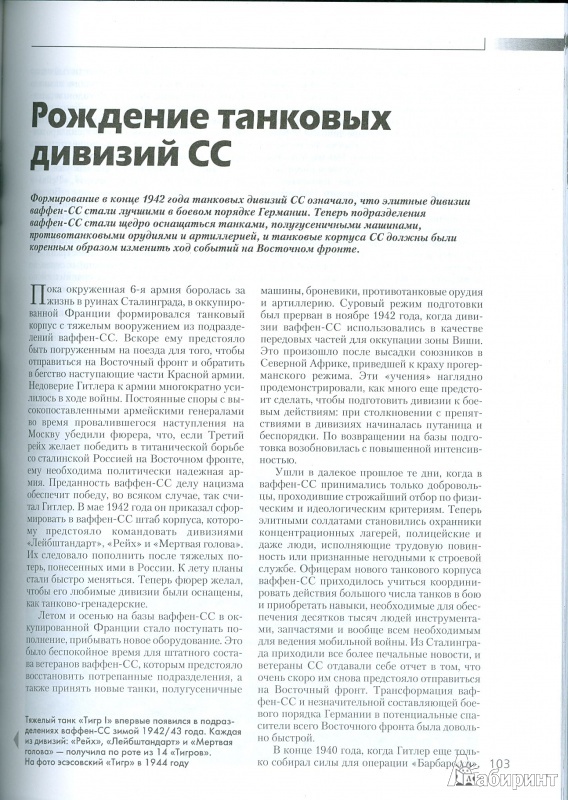 Иллюстрация 7 из 38 для История войск СС 1925-1945 - Тим Рипли | Лабиринт - книги. Источник: Еrin