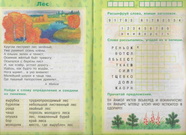 Иллюстрация 12 из 17 для Растения леса - Ольга Тишурина | Лабиринт - книги. Источник: _Елена_