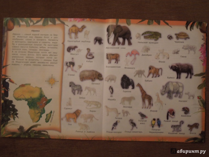 Иллюстрация 6 из 31 для 400 наклеек. Животные. Самая необыкновенная книга | Лабиринт - книги. Источник: ealaz