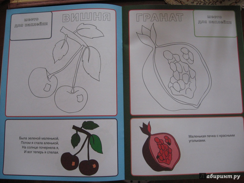 Иллюстрация 3 из 21 для Фрукты и ягоды | Лабиринт - книги. Источник: Марина Епифанцева