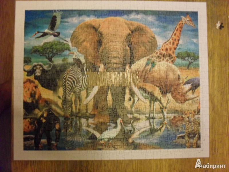 Иллюстрация 9 из 11 для Step Puzzle-500. "Мир животных" (98011) | Лабиринт - игрушки. Источник: Ишимбаев  Владимир