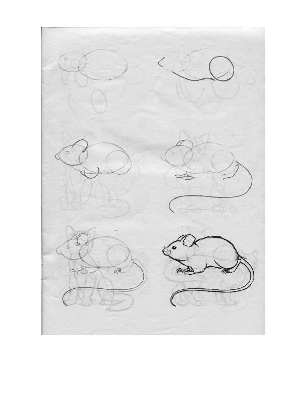 Иллюстрация 14 из 24 для Рисуем 50 животных - Ли Эймис | Лабиринт - книги. Источник: Юта