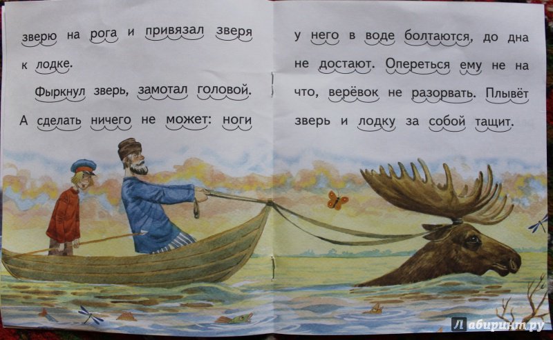 Иллюстрация 6 из 9 для Водяной конь - Виталий Бианки | Лабиринт - книги. Источник: . NastasiaBu