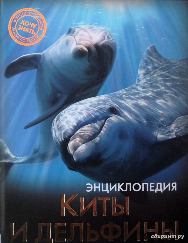 Иллюстрация 12 из 35 для Киты и дельфины - Михаил Савостин | Лабиринт - книги. Источник: Соловьев  Владимир