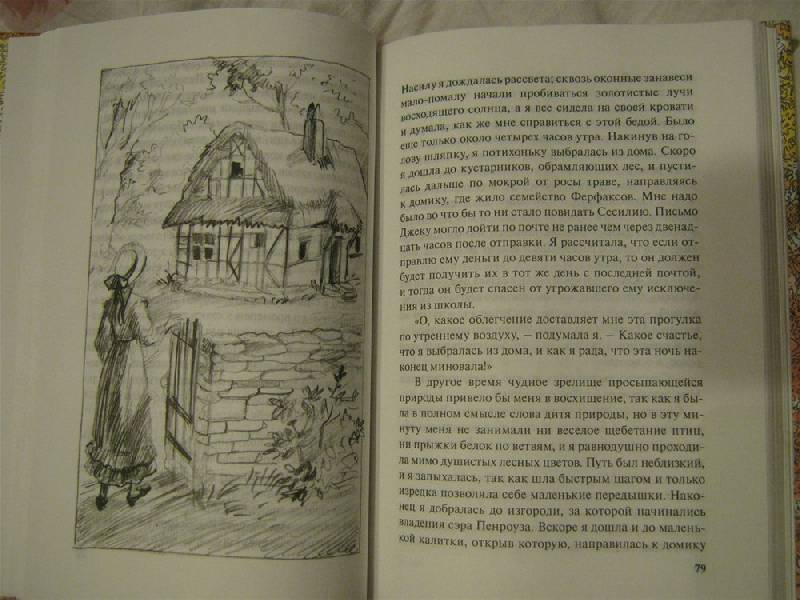 Иллюстрация 4 из 7 для Семь молоденьких девиц, или Дом вверх дном - Элизабет Мид-Смит | Лабиринт - книги. Источник: Дейзи