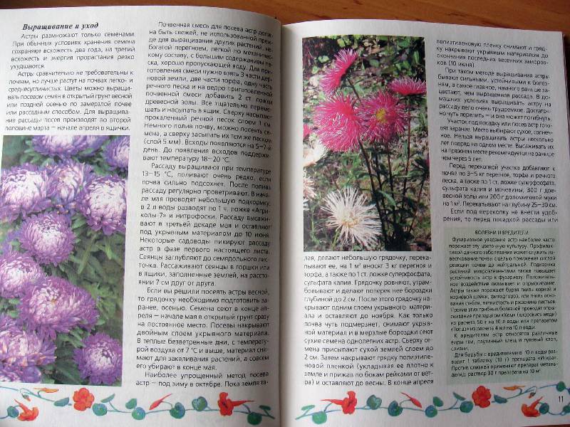 Иллюстрация 10 из 20 для Любимые цветы - Ганичкина, Ганичкин | Лабиринт - книги. Источник: Red cat ;)