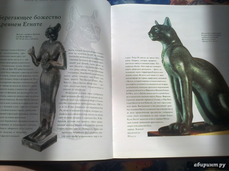 Иллюстрация 8 из 24 для 100 легендарных кошек - Стефано Сальвиати | Лабиринт - книги. Источник: Юлиана  Юлиана