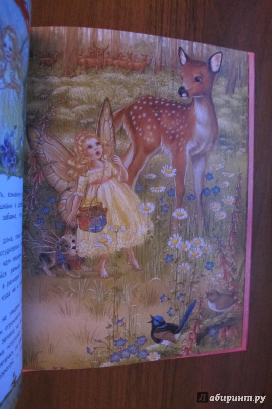 Иллюстрация 13 из 32 для Волшебная радуга - Ширли Барбер | Лабиринт - книги. Источник: Hitopadesa