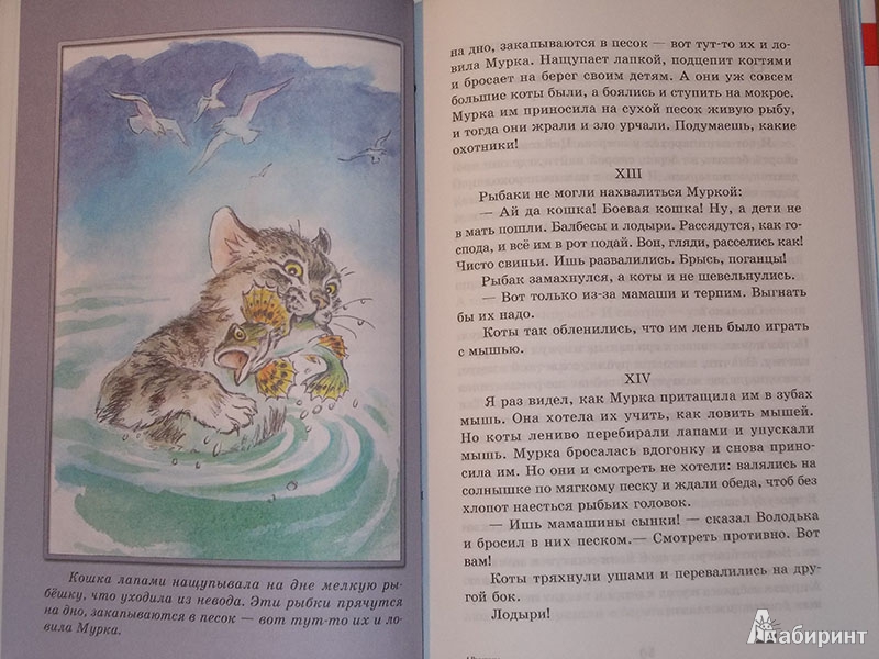 Иллюстрация 14 из 29 для Рассказы - Борис Житков | Лабиринт - книги. Источник: Читатель
