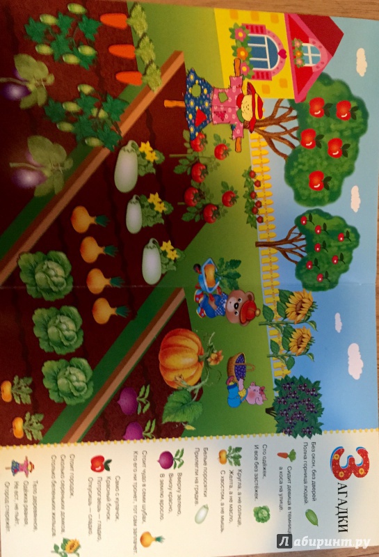Иллюстрация 23 из 24 для Развивающий плакат-игра с многоразовыми наклейками "Во саду ли, в огороде" - М. Калугина | Лабиринт - игрушки. Источник: MARIYA V