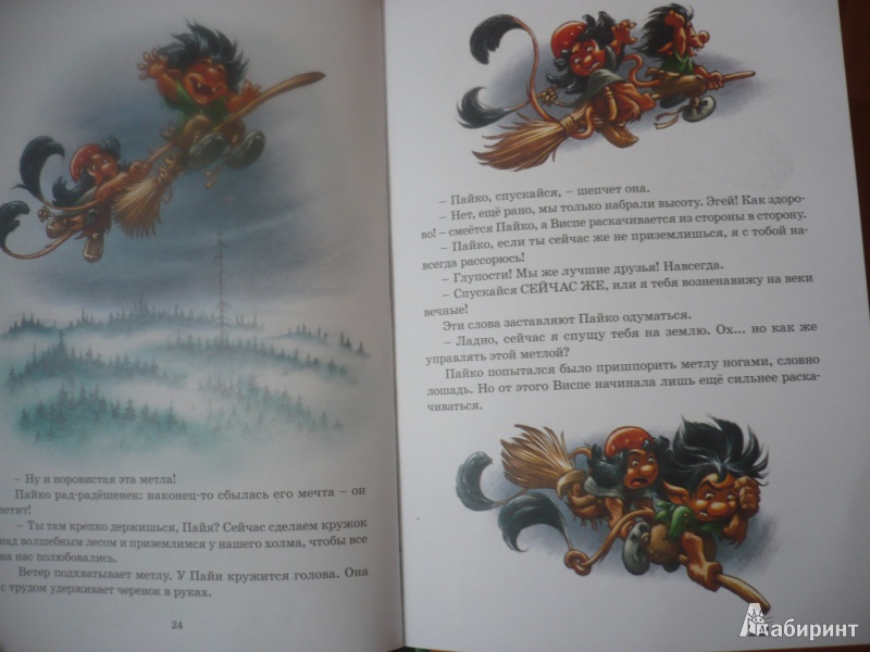 Иллюстрация 11 из 24 для Полёт на метле - Сиссель Бёэ | Лабиринт - книги. Источник: angela_kvitka