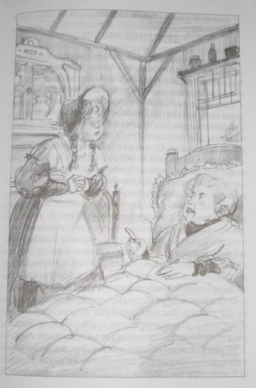 Иллюстрация 5 из 18 для Девичий мирок (история одной школы) - Элизабет Мид-Смит | Лабиринт - книги. Источник: Читательница