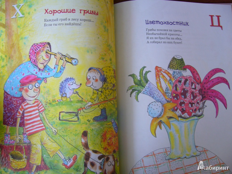 Иллюстрация 24 из 54 для Большая грибная книга - Андрей Усачев | Лабиринт - книги. Источник: Божья  Коровка