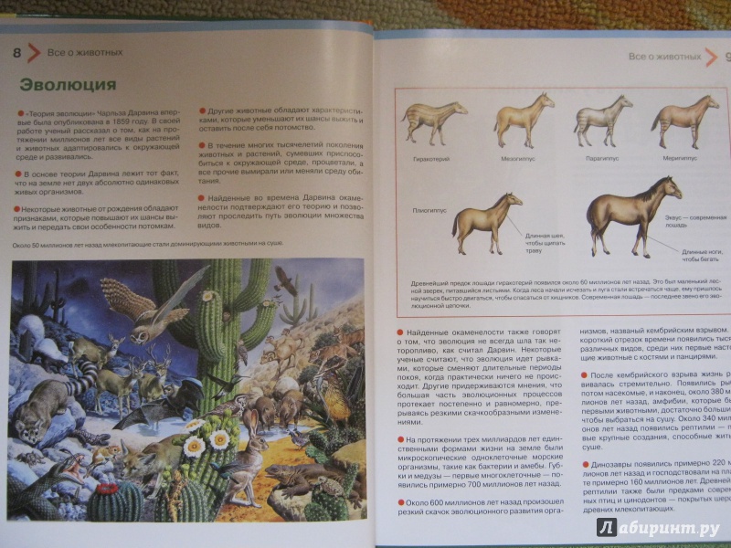 Иллюстрация 14 из 35 для Большая энциклопедия животных для детей - Brewer, Farndon | Лабиринт - книги. Источник: Евгения39