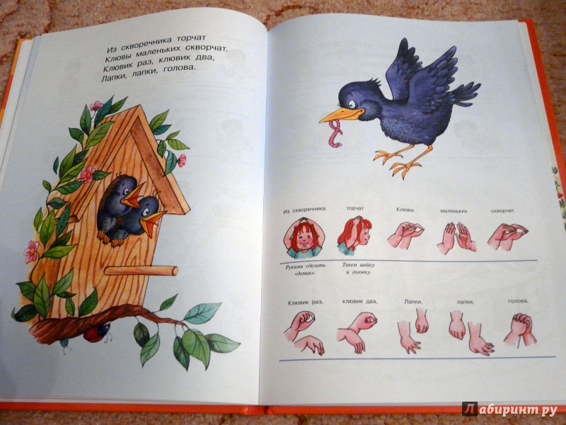 Иллюстрация 11 из 19 для Расскажи стихи руками | Лабиринт - книги. Источник: Псевдоним