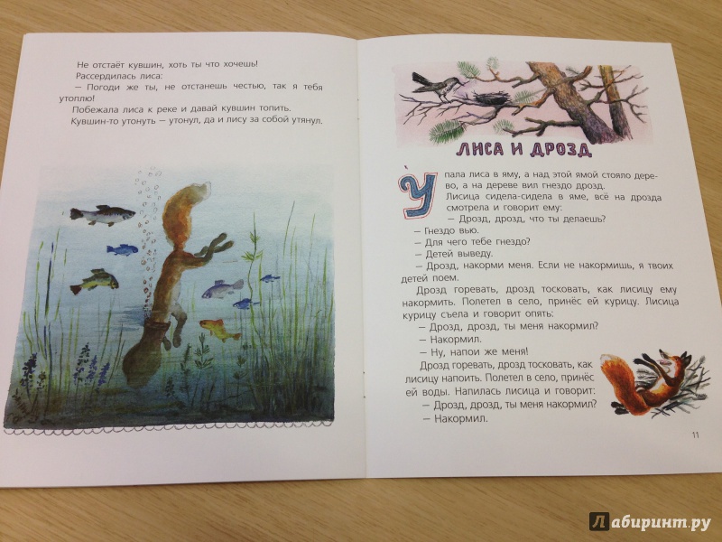 Иллюстрация 15 из 34 для Сказки про лису | Лабиринт - книги. Источник: Транжира