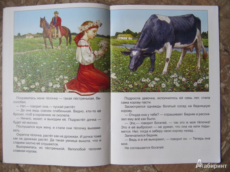 Иллюстрация 7 из 27 для Разумная дочь | Лабиринт - книги. Источник: Данилова  Мария Александровна