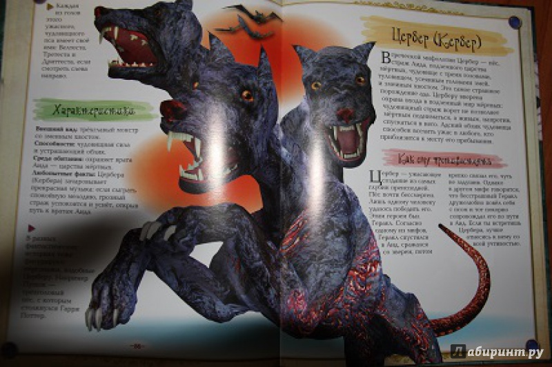 Иллюстрация 10 из 45 для Драконы, монстры и другие фантастические создания | Лабиринт - книги. Источник: Акико