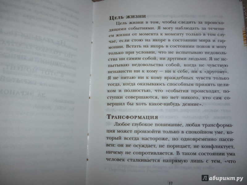 Иллюстрация 25 из 35 для Один в зеркале - Рамеш Балсекар | Лабиринт - книги. Источник: Бабкин  Михаил Юрьевич