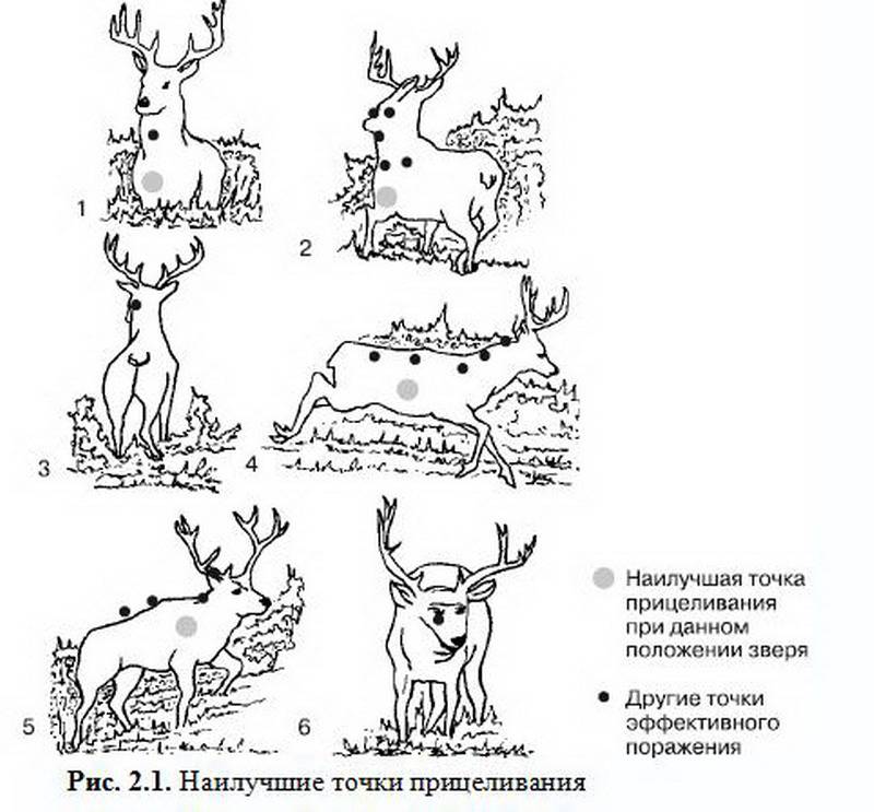 Иллюстрация 4 из 9 для Способы автономного выживания человека в природе - Л.А. Михайлов | Лабиринт - книги. Источник: Machaon