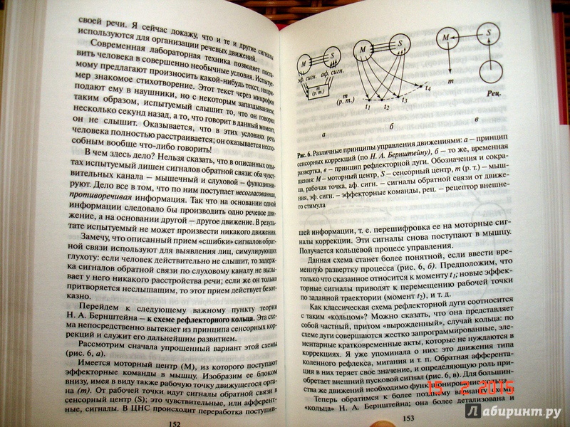 Иллюстрация 5 из 24 для Введение в общую психологию: курс лекций - Юлия Гиппенрейтер | Лабиринт - книги. Источник: Kassavetes