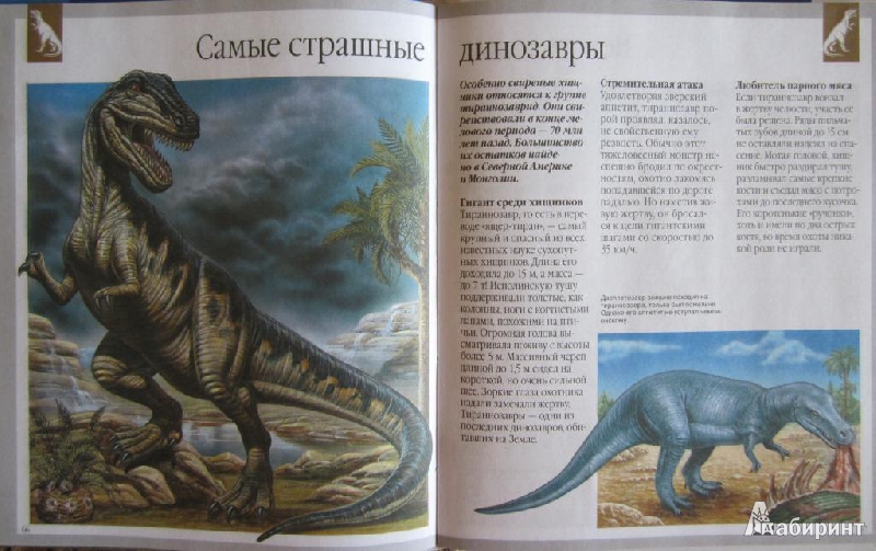 Иллюстрация 22 из 28 для Динозавры и другие исчезнувшие животные - Лора Камбурнак | Лабиринт - книги. Источник: ver-ira
